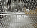 加卡（ja-kal）倉鼠籠子60超大別墅豪華金絲熊專(zhuān)用便宜大的房子二層別墅飼養箱籠 60cm豪華別墅-奶油木屋8件（白） 曬單實(shí)拍圖