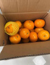 田拾記正宗廣西金秋砂糖橘【多地次日達】新鮮沙糖桔子水果年貨節送禮品 20斤裝丨家庭囤貨超值丨凈18斤 精選果丨單果35-40mm+丨商超款 曬單實(shí)拍圖