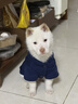 歡寵網(wǎng)寵物狗狗衣服貓咪貓小狗小貓泰迪比熊貓貓小型犬幼犬冬季保暖服飾 曬單實(shí)拍圖