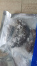 山東特產(chǎn) Q彈鮮食海參 真空包裝 500g 京東包郵 2斤 8-12頭 曬單實(shí)拍圖
