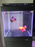 森森（SUNSUN）魚(yú)缸客廳超白玻璃方缸底過(guò)濾家用金魚(yú)缸生態(tài)水族箱包安裝 0.6米長(cháng)新式過(guò)濾 黑色 送到家 曬單實(shí)拍圖