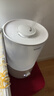 蘇泊爾（SUPOR）加濕器小型落地凈化器臥室辦公桌面家用增濕器大容量霧化加濕器空調電風(fēng)扇伴侶EHTN-21B禮品 曬單實(shí)拍圖