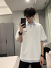 頂峰保羅（Dingfengbaoluo）假兩件短袖V領(lǐng)polo衫男款學(xué)院風(fēng)春季潮牌休閑T恤DK341白色L 曬單實(shí)拍圖