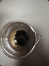 雅集茶具透明耐熱玻璃泡茶壺帶過(guò)濾茶水分離玻璃茶壺550ml茶具泡茶壺 曬單實(shí)拍圖