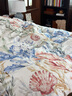 Harbor House美式全棉貢緞四件套床上用品A類(lèi)母嬰面料純棉海洋風(fēng)床單被套枕套 Tobago 全棉印花四件套 60支 A類(lèi)母嬰面料 1.5m床 床單款 （被套200*230cm） 曬單實(shí)拍圖