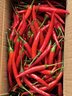 新鮮現摘小米辣美食辣椒朝天椒商超品質(zhì) 3斤（特價(jià)） 曬單實(shí)拍圖