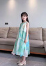 G.duck童裝女童連衣裙2026新款兒童裙子夏裝無(wú)袖A字裙波西米亞風(fēng)度假裙 藍綠色 120 建議110-120cm6-7歲cm 曬單實(shí)拍圖