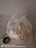 蘑菇種植包菌包家庭種黑平菇香菇金針菇菌包可食用菌新鮮蘑菇菌棒袋裝 平菇包標準款 1袋裝 曬單實(shí)拍圖