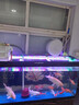魚(yú)缸燈led燈防水超亮全光譜三色小水族箱潛水專(zhuān)用彩燈燈管 30W三色變光147cm（155-165cm缸用） 曬單實(shí)拍圖