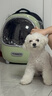 樂(lè )優(yōu)派貓包外出便攜太空艙貓背包雙肩包寵物包大號透氣貓咪用品 青木綠 曬單實(shí)拍圖