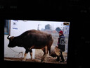 索尼（SONY）A7M5 Alpha 7 V全畫(huà)幅微單旗艦相機a7m5 高速連拍4K 120p視頻vlog直播相機 A7M5單機【不含鏡頭】 標配【送雙肩包+備用電池套裝等】 曬單實(shí)拍圖