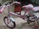 【京東物流】新款兒童自行車(chē)3-5-8-9歲男女孩公主單車(chē)帶輔助輪 【高配運動(dòng)款】彩色輪 16寸 粉色 曬單實(shí)拍圖