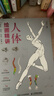 人體精講 解剖+速寫(xiě)+動(dòng)態(tài)+動(dòng)漫劉慶行人民郵電9787115659071 繪畫(huà)書(shū)籍 曬單實(shí)拍圖