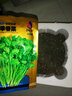 一播大地 香菜籽 芫荽籽 種子蔬菜 陽(yáng)臺菜園種子 盆栽種子 高出芽率 耐抽苔香菜種子原裝30g 曬單實(shí)拍圖