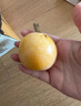 冰果樂(lè )蘇州東山白玉枇杷新鮮枇杷果水果白玉枇杷節日送禮禮盒裝大果枇杷 單果30g左右+ 3斤（炮頭果） 曬單實(shí)拍圖