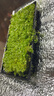瘋狂水草矮珍珠水草魚(yú)缸造景水培植物懶人水草植物水培綠植源頭直發(fā)包郵 曬單實(shí)拍圖
