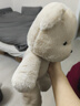 EVANOVM小熊玩偶布娃娃公仔毛絨玩具小女孩三八節女神生日禮物女生朋友 跑跑小熊 45cm左右 曬單實(shí)拍圖