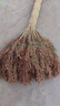 老式高粱金絲掃把院子環(huán)衛街道家用室外學(xué)校工地耐庭院芒草黑苗 高粱掃把1把【40*83cm】 曬單實(shí)拍圖