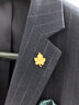 諾斯.馬丁外套西裝西服品質(zhì)胸針男士領(lǐng)針女精致生日禮物配飾楓葉 金色 曬單實(shí)拍圖