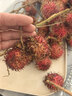 紅毛丹新鮮水果越南進(jìn)口毛荔枝熱帶小眾甜紅牡丹老樹(shù)大果京東快遞 凈重4.5斤裝 曬單實(shí)拍圖