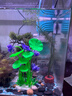 水自在魚(yú)缸造景仿真荷花草假花假草魚(yú)缸裝飾仿真水草套餐魚(yú)缸假植物組合 藍色荷花+粉色荷花 曬單實(shí)拍圖