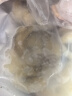 活凍章魚(yú) 迷你小八爪魚(yú)冷凍小章魚(yú) 海鮮源頭直發(fā) 活凍章魚(yú) 1000g(凈重)  含30%保護冰 曬單實(shí)拍圖