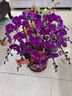 鮮花情新年同城配送蝴蝶蘭大花蕙蘭北美冬青大盆栽花卉喬遷爸媽長(cháng)輩禮物 10株紫色蝴蝶蘭-底盆隨機可選 同城專(zhuān)人送花到家-當天達-也可預定日期 曬單實(shí)拍圖