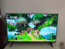創(chuàng  )維電視43A3F 43英寸電視機 液晶游戲智能平板 家電國家補貼 以舊換新 43英寸 43A3D升級款 43英寸 曬單實(shí)拍圖