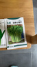 北蔬 芹菜種子種苗陽(yáng)臺盆栽南方脆嫩農家菜種籽 卓脆四季小香芹種子5g 曬單實(shí)拍圖