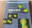 正版/ 細胞生物學(xué)（第4版）  翟中和、王喜忠、丁明孝 主編 高等教育出版社 9787040321753 1 曬單實(shí)拍圖