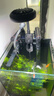 AMTRA TECHNIK德國安彩EX250魚(yú)缸過(guò)濾器凈水循環(huán)迷你壁掛式過(guò)濾桶 EX250標準版【內含濾材】 曬單實(shí)拍圖