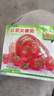 本土大番茄種子高產(chǎn)超甜超大紅果大西紅柿種子高溫蔬菜瓜果種籽 紅圣女番茄四季播種約400粒1包 曬單實(shí)拍圖
