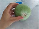 （霖錦）頭茬綠寶香瓜綠寶甜瓜單果250g+山東沈陽(yáng)倉隨機發(fā) 單粒（小果） 曬單實(shí)拍圖