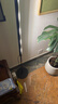 三思全光譜植物補光燈室內綠植生長(cháng)燈多肉花卉三角梅發(fā)財樹(shù)立式落地燈 【高160-190cm伸縮】80W可定時(shí)圓盤(pán)底座款 曬單實(shí)拍圖