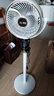 揚子（YANGZI）空氣循環(huán)扇智能語(yǔ)音電風(fēng)扇家用落地扇立式搖頭遙控辦公室宿舍 語(yǔ)音款【自動(dòng)搖頭】+延長(cháng)線(xiàn) 曬單實(shí)拍圖