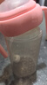 小土豆（potato）兒童水杯大寶寶吸管奶瓶PP水杯9個(gè)月以上帶重力球 300ml春櫻粉 曬單實(shí)拍圖