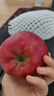 正宗天水花牛蘋(píng)果 蛇果時(shí)令水果特大新鮮香甜粉 【爆甜-果王】單果75+mm 含箱1斤裝【嘗鮮推薦】 曬單實(shí)拍圖