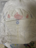 BBG藍芯羽柔奢護拉拉褲XL碼40片（9-15kg）嬰兒尿不濕尿褲鯨吸瞬干 曬單實(shí)拍圖