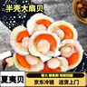 【京東冷鏈】大號夏夷貝蝦夷貝半殼大扇貝鮮活開(kāi)貝新鮮冷凍丹東 夏威夷半殼貝  10只(9-10cm) 曬單實(shí)拍圖