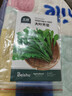北蔬薺菜種子苗大葉老品種野外冬季蔬菜種籽 大葉薺菜種子2000粒x2包 曬單實(shí)拍圖