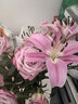 百合花鮮花基地直發(fā)鮮花家用水培插花38女神婦女節禮物生日禮物 粉百合55-60cm  10個(gè)花苞（品種隨機） 曬單實(shí)拍圖