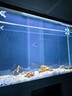 森森（SUNSUN）魚(yú)缸水族箱客廳免換水風(fēng)水家用金魚(yú)缸 1.2米長(cháng) 34.6cm寬 時(shí)尚底濾(黑白灰可選) 曬單實(shí)拍圖