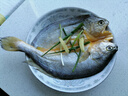 三都港黃魚(yú)鲞國產(chǎn)寧德原產(chǎn)地黃花魚(yú)冷凍生鮮海鮮大黃魚(yú)三去免殺烹飪食材 【官旗直發(fā)】黃魚(yú)鲞組合4包共1000g 曬單實(shí)拍圖