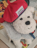babycare西高地小狗口令狗2.0兒童電動(dòng)毛絨玩具仿真寵物玩偶生日周歲禮物 【店鋪主推】口令狗-西高地+魅力貝雷套裝 曬單實(shí)拍圖