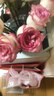 愛(ài)莎玫瑰10枝 曬單實(shí)拍圖