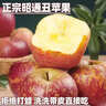 丑蘋(píng)果新鮮云南昭通蘋(píng)果生鮮水果蘋(píng)果冰糖心富士當季中秋水果禮盒 5斤精選果【80%人選】50-60mm 曬單實(shí)拍圖