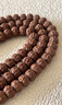 尋歸客一代老樹(shù)王小金剛菩提子精品原生態(tài)矮樁爆肉手持單圈男女盤(pán)玩手串 至純老樹(shù)王12mm單圈 曬單實(shí)拍圖