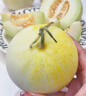 傾睦云南郁金香甜瓜 白皮蜜瓜白雪小香瓜脆甜軟糯小蜜罐甜瓜新鮮水果 4.5斤 精選中果【單果250-350g】 曬單實(shí)拍圖