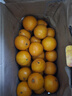 【東東農場(chǎng)專(zhuān)供】正宗廣西武鳴皇帝柑貢柑產(chǎn)地直發(fā)新鮮水果 8斤裝60mm+凈重7.5斤 曬單實(shí)拍圖