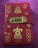 離草存錢(qián)本收納冊現金存錢(qián)本存錢(qián)夾錢(qián)包紀念鈔收藏冊2026新款加密暴富壓歲錢(qián)紅包兒童密碼存錢(qián)本 暴富 曬單實(shí)拍圖